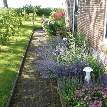 B&B Op De Vlakte Oosternijkerk Dış mekan fotoğraf