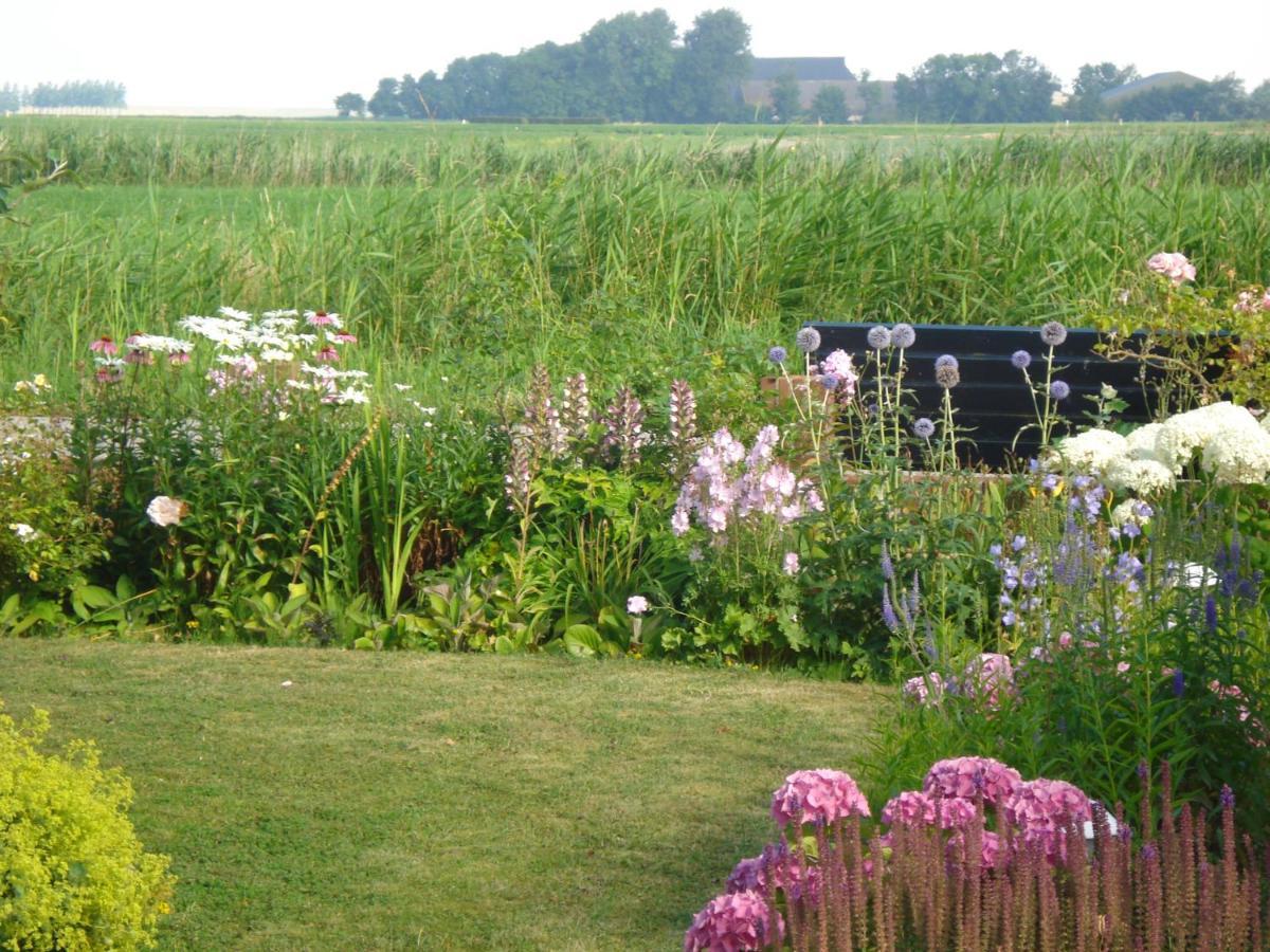 B&B Op De Vlakte Oosternijkerk Dış mekan fotoğraf