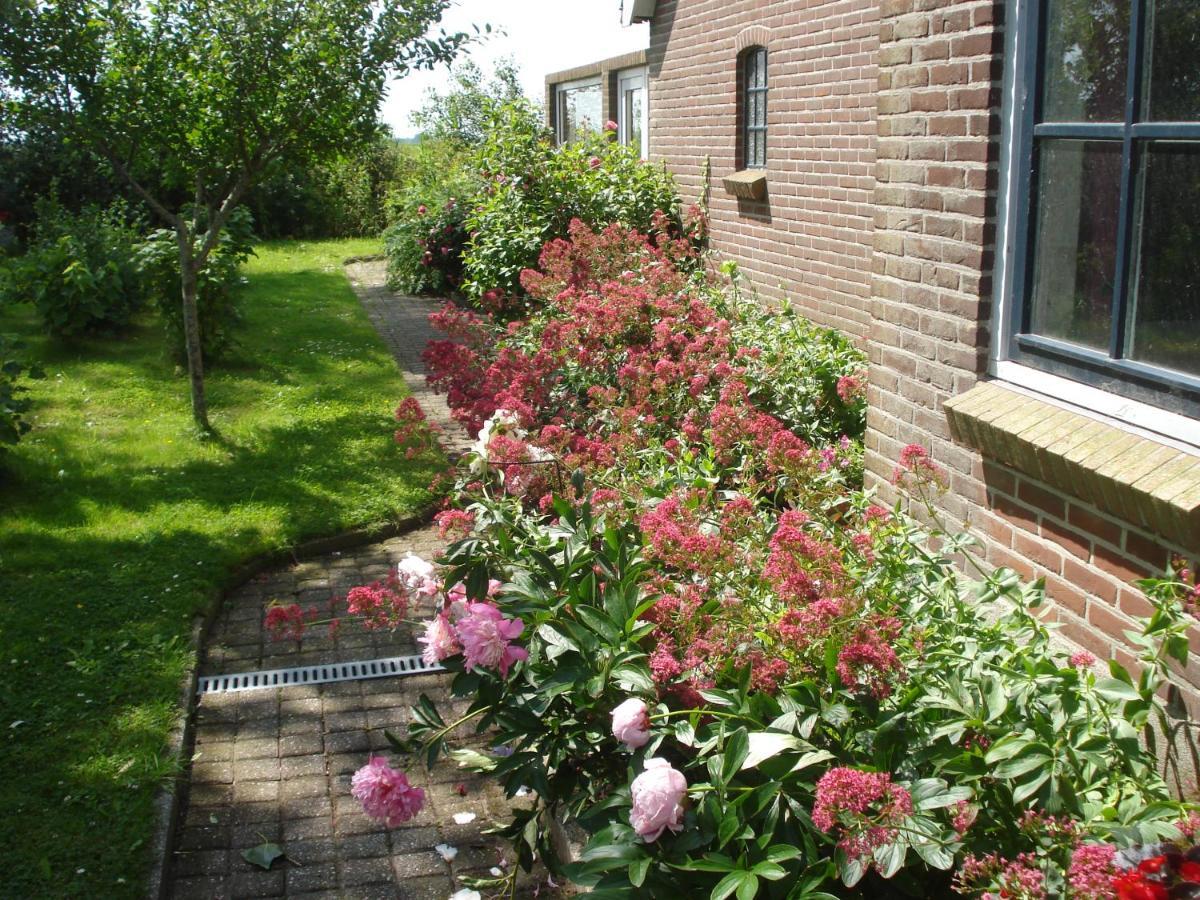 B&B Op De Vlakte Oosternijkerk Dış mekan fotoğraf